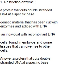 Unit 4 Lesson 14 Quiz